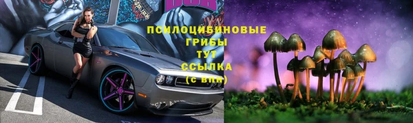гидропоника Абдулино